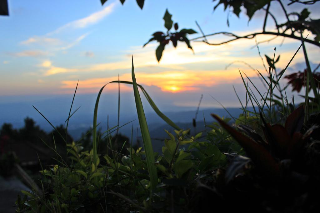 Aryautama Garden Villa Munduk  Luaran gambar