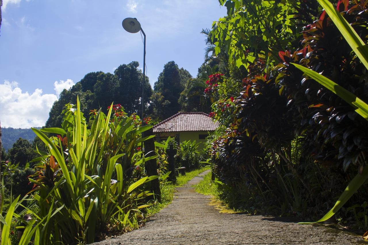 Aryautama Garden Villa Munduk  Luaran gambar