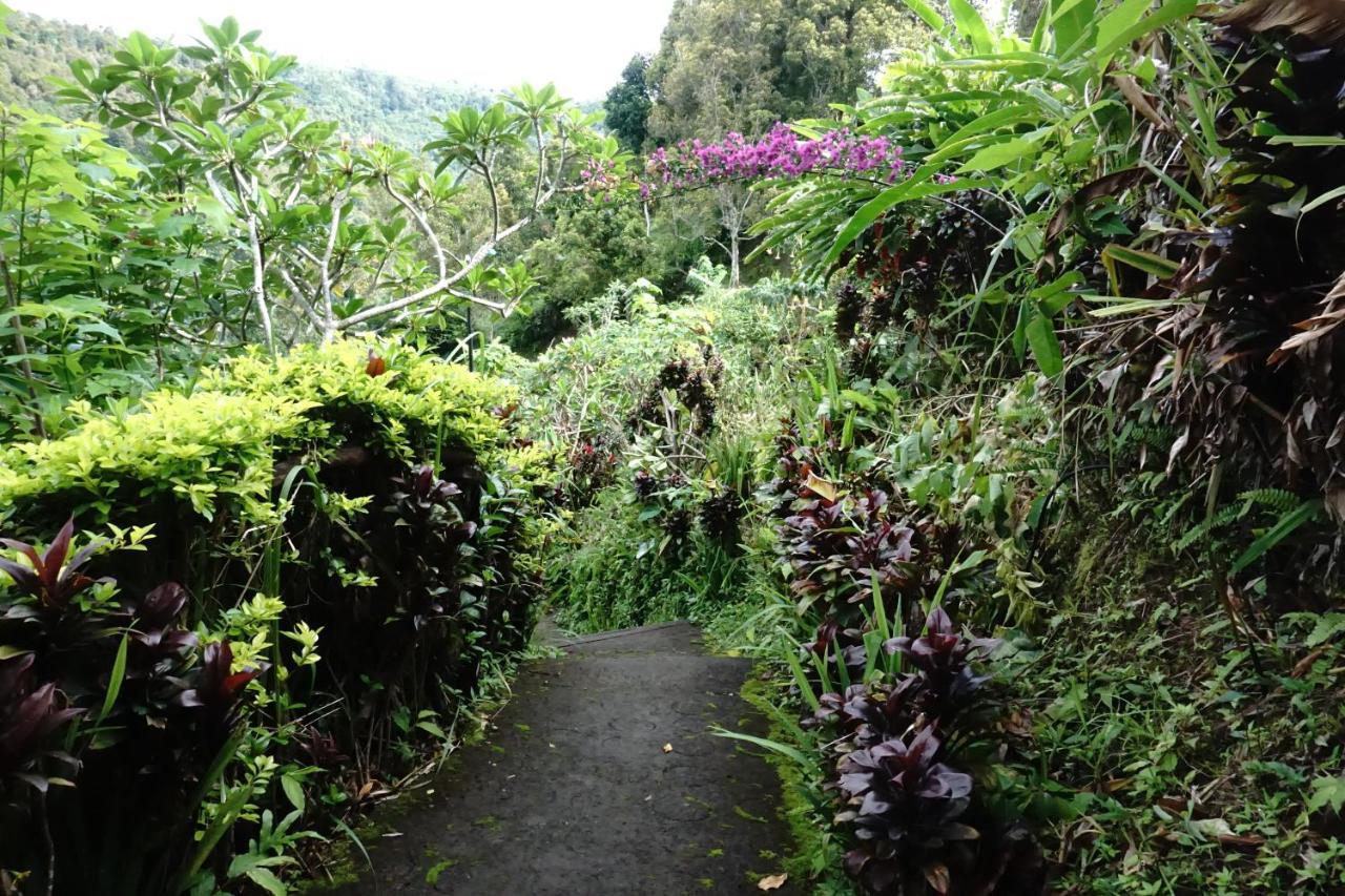 Aryautama Garden Villa Munduk  Luaran gambar
